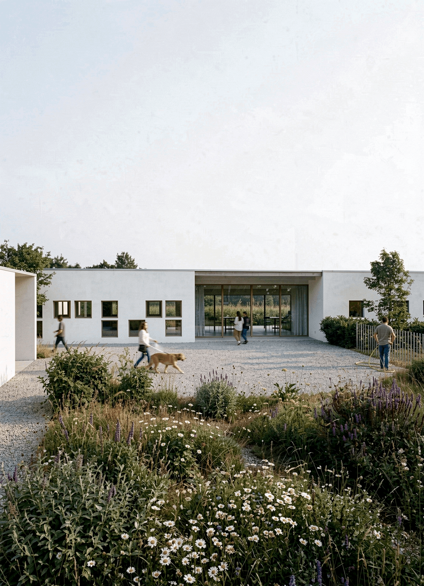 Cover Image for Canine and Feline Pavilions